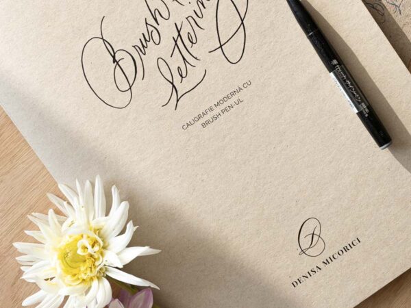Brush Pen Lettering starter kit