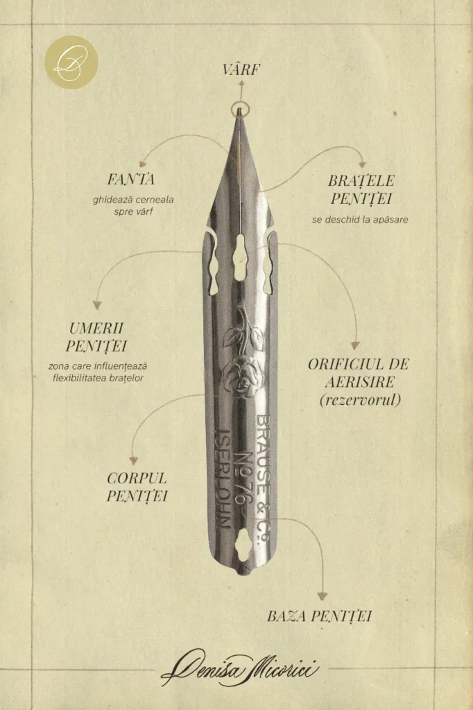 Diagramă explicativă cu părțile componente ale unei penițe flexibile creată de Denisa Micorici