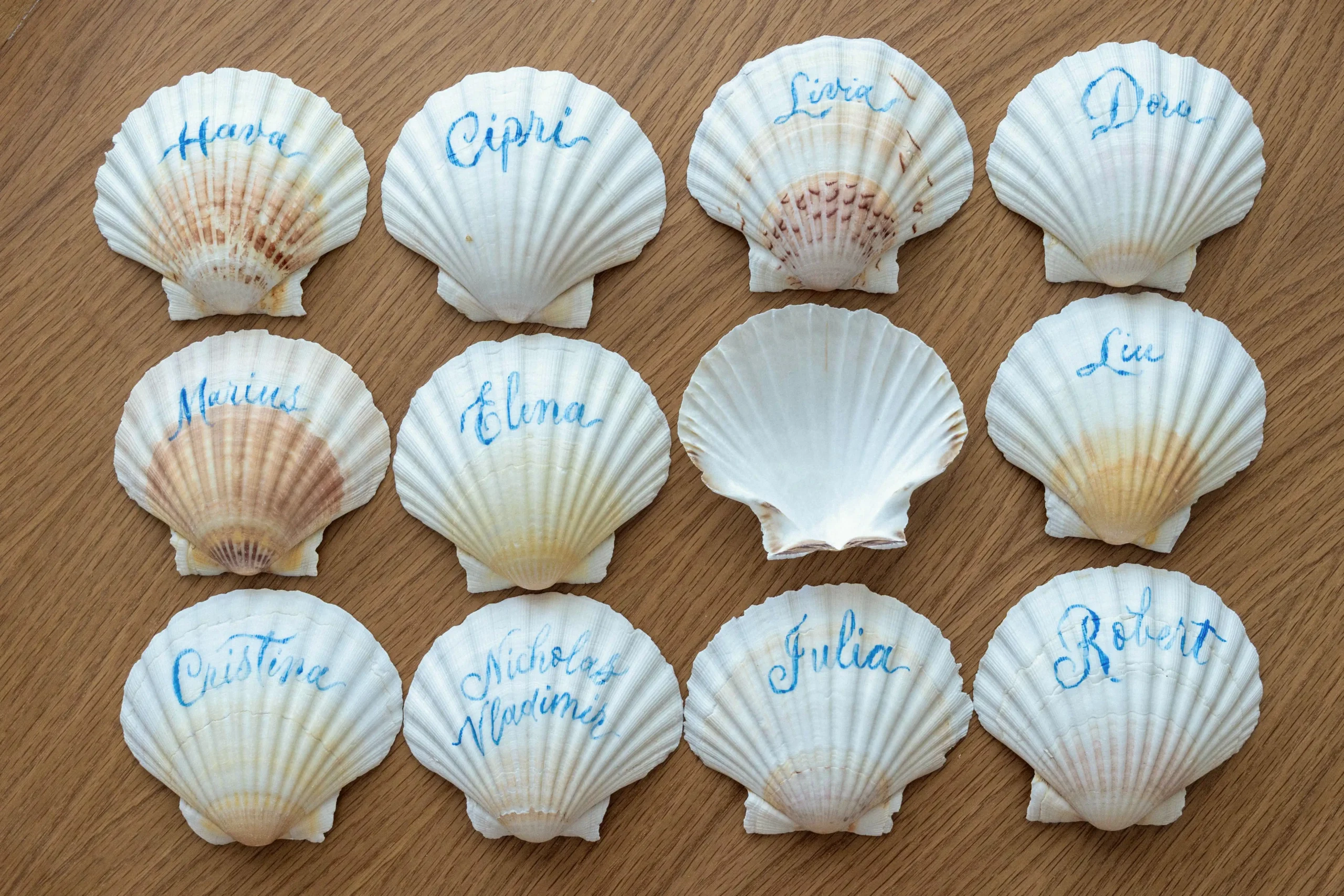 Place cards pe scoici, caligrafiate de mână pentru nuntă